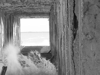 FDotografia Freelance